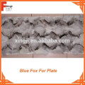 Blue Fox Fur Plate